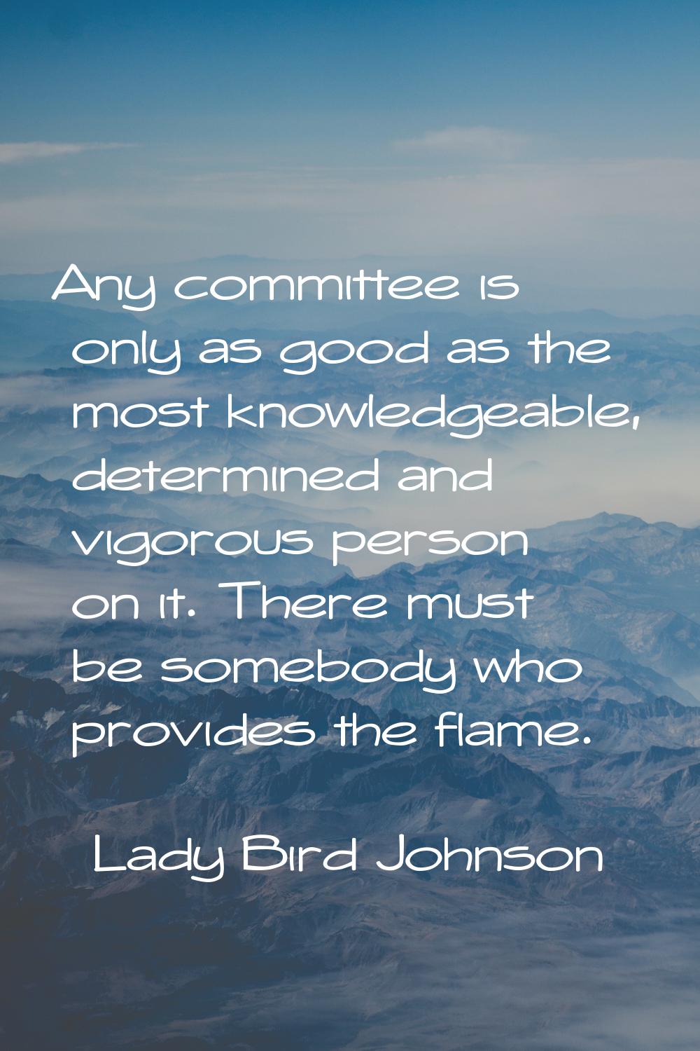 Any committee is only as good as the most knowledgeable, determined and vigorous person on it. Ther