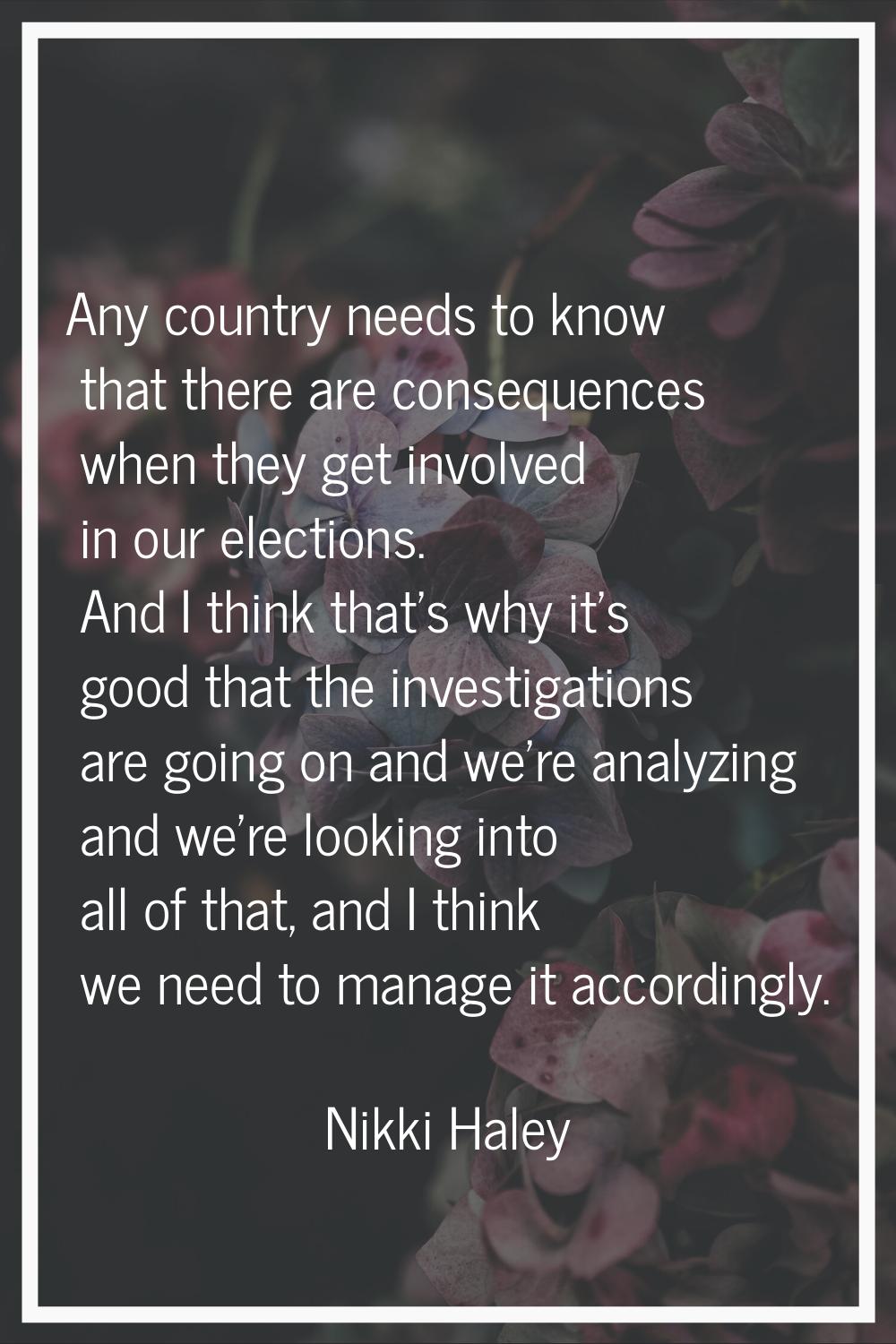 Any country needs to know that there are consequences when they get involved in our elections. And 
