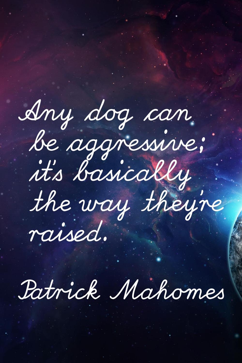Any dog can be aggressive; it's basically the way they're raised.