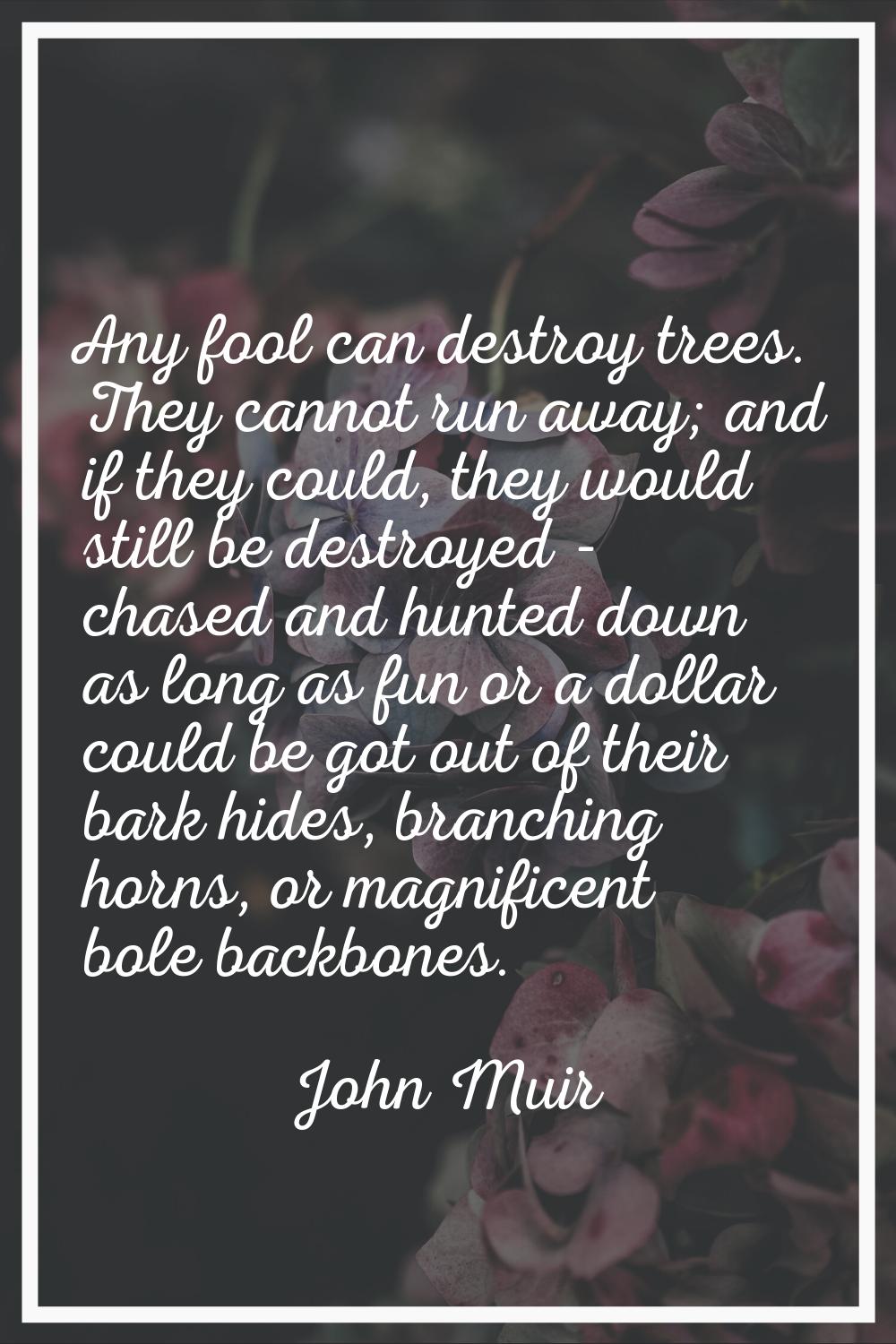 Any fool can destroy trees. They cannot run away; and if they could, they would still be destroyed 