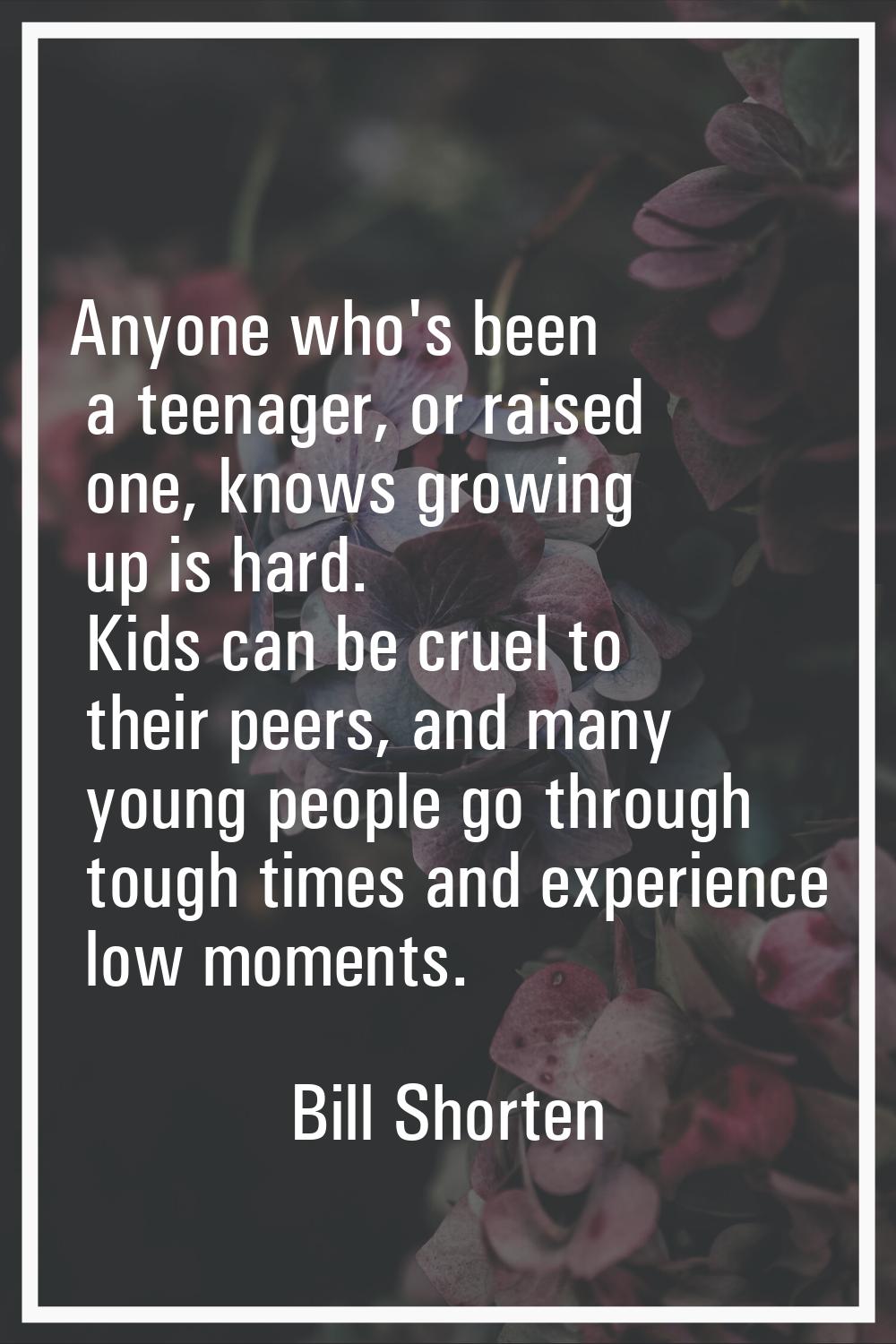 Anyone who's been a teenager, or raised one, knows growing up is hard. Kids can be cruel to their p