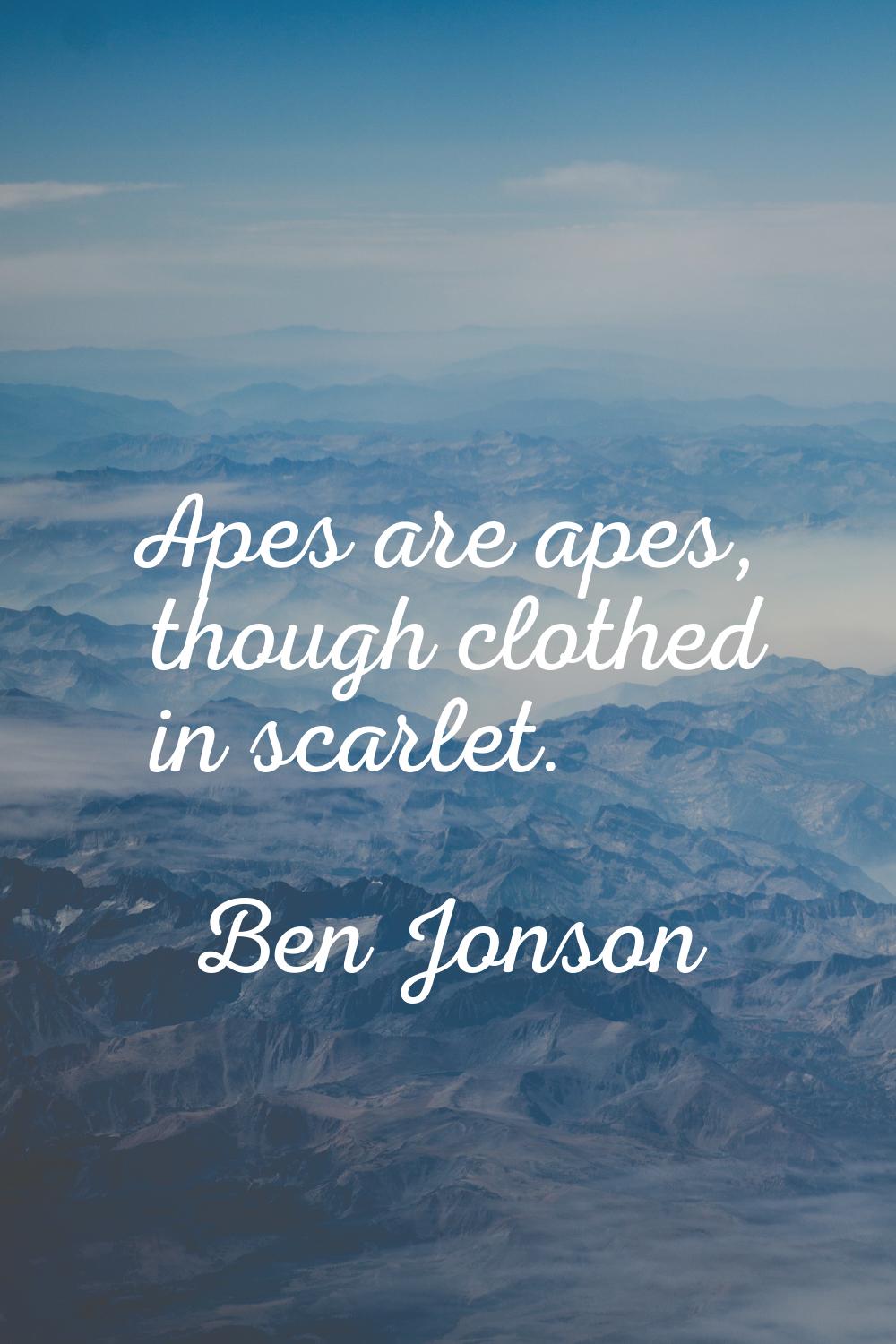 Apes are apes, though clothed in scarlet.