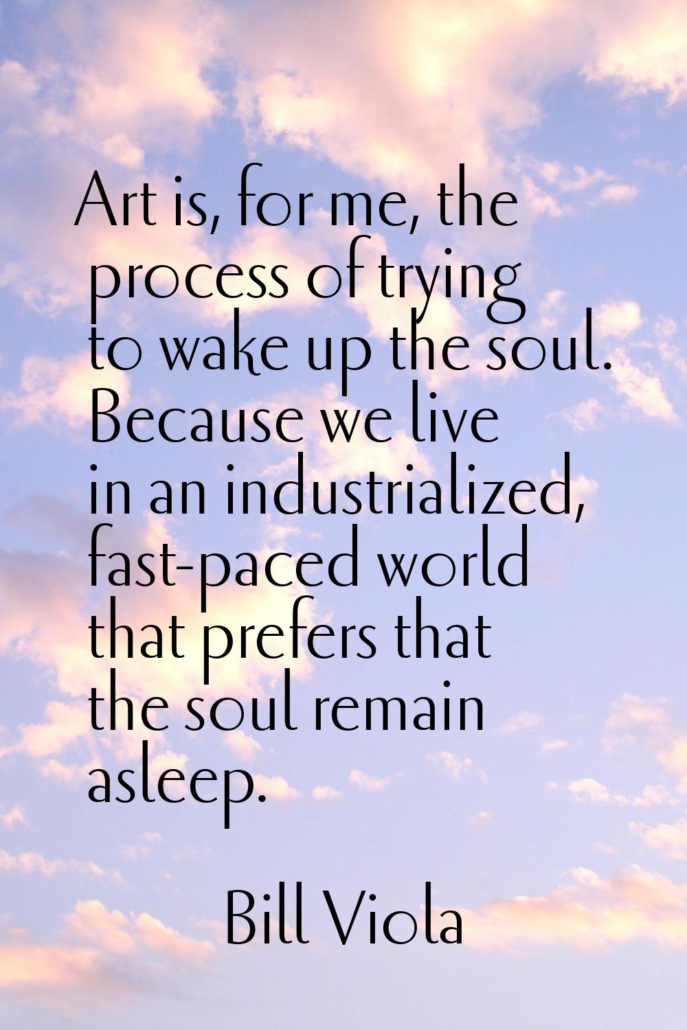 Art is, for me, the process of trying to wake up the soul. Because we live in an industrialized, fa