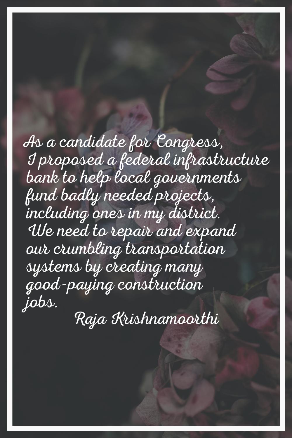 As a candidate for Congress, I proposed a federal infrastructure bank to help local governments fun