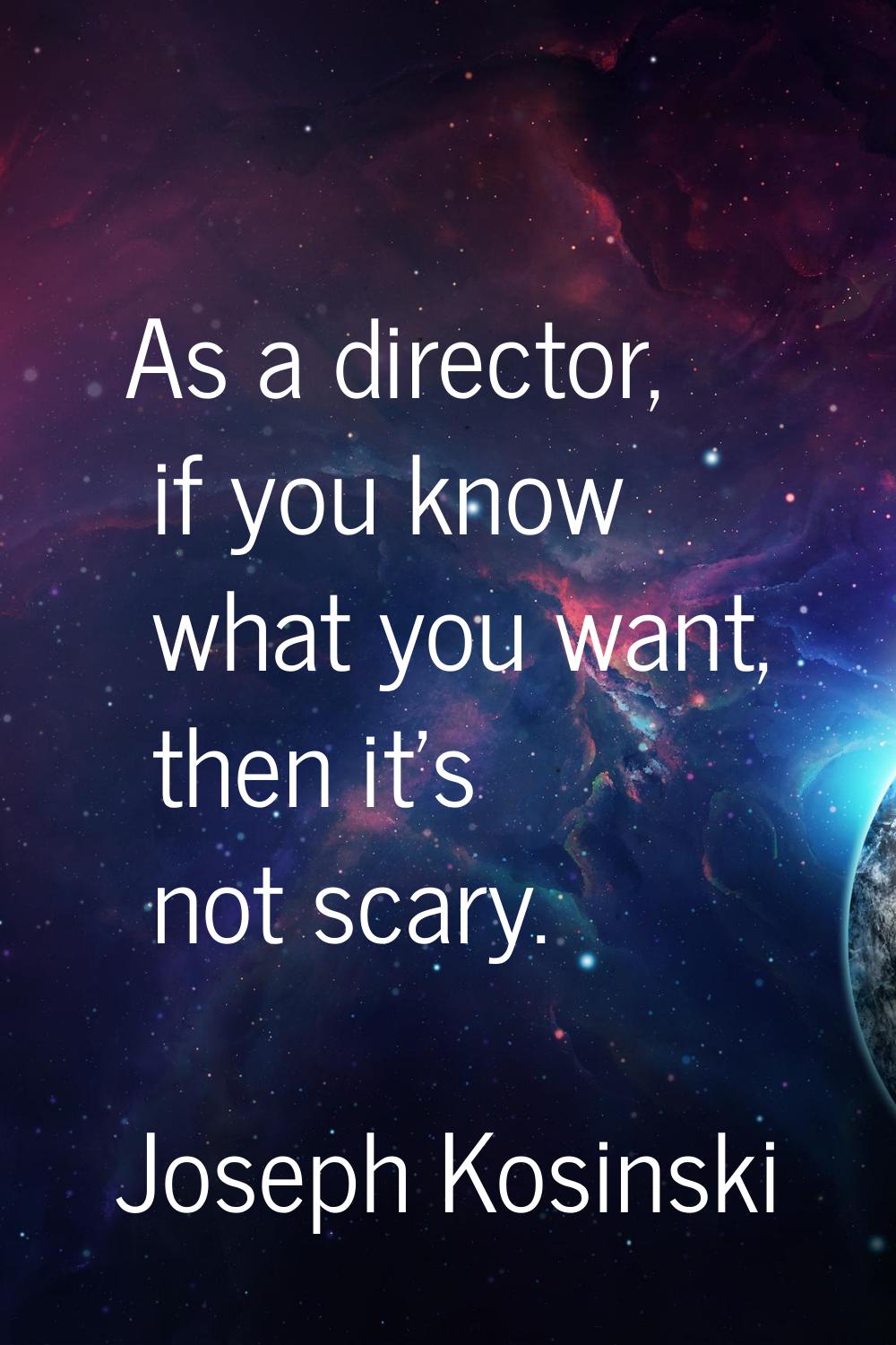 As a director, if you know what you want, then it's not scary.