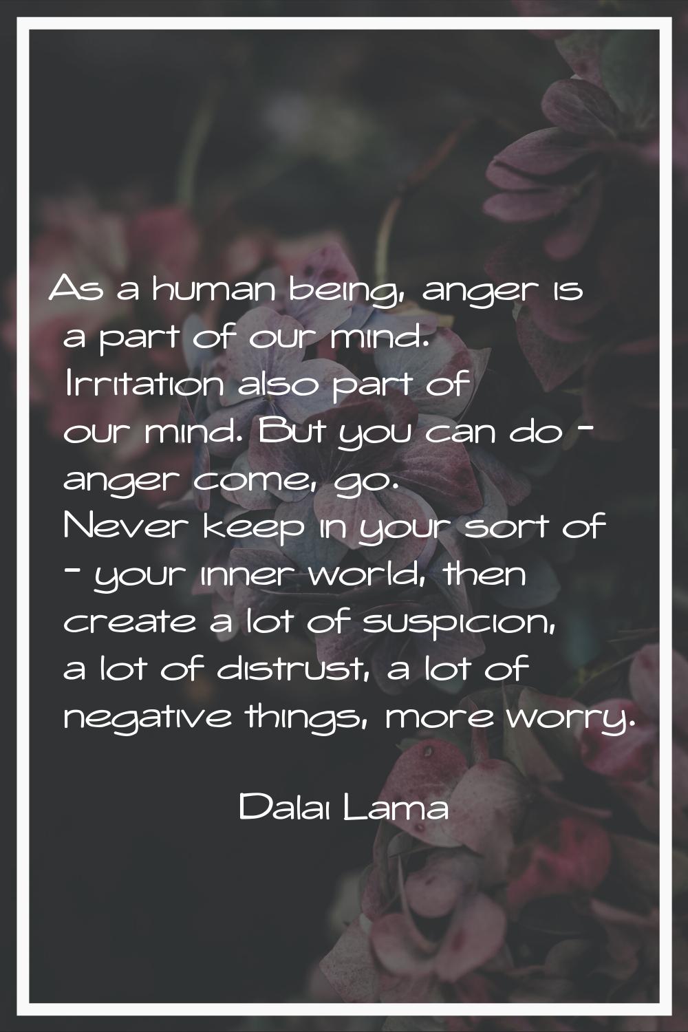 As a human being, anger is a part of our mind. Irritation also part of our mind. But you can do - a
