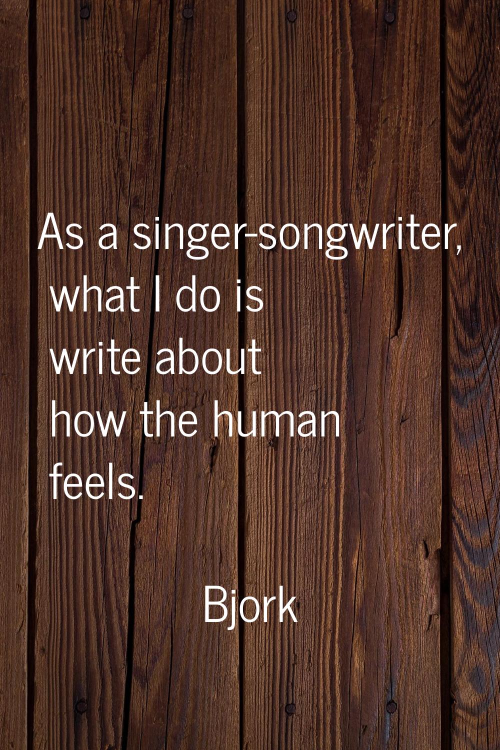 As a singer-songwriter, what I do is write about how the human feels.