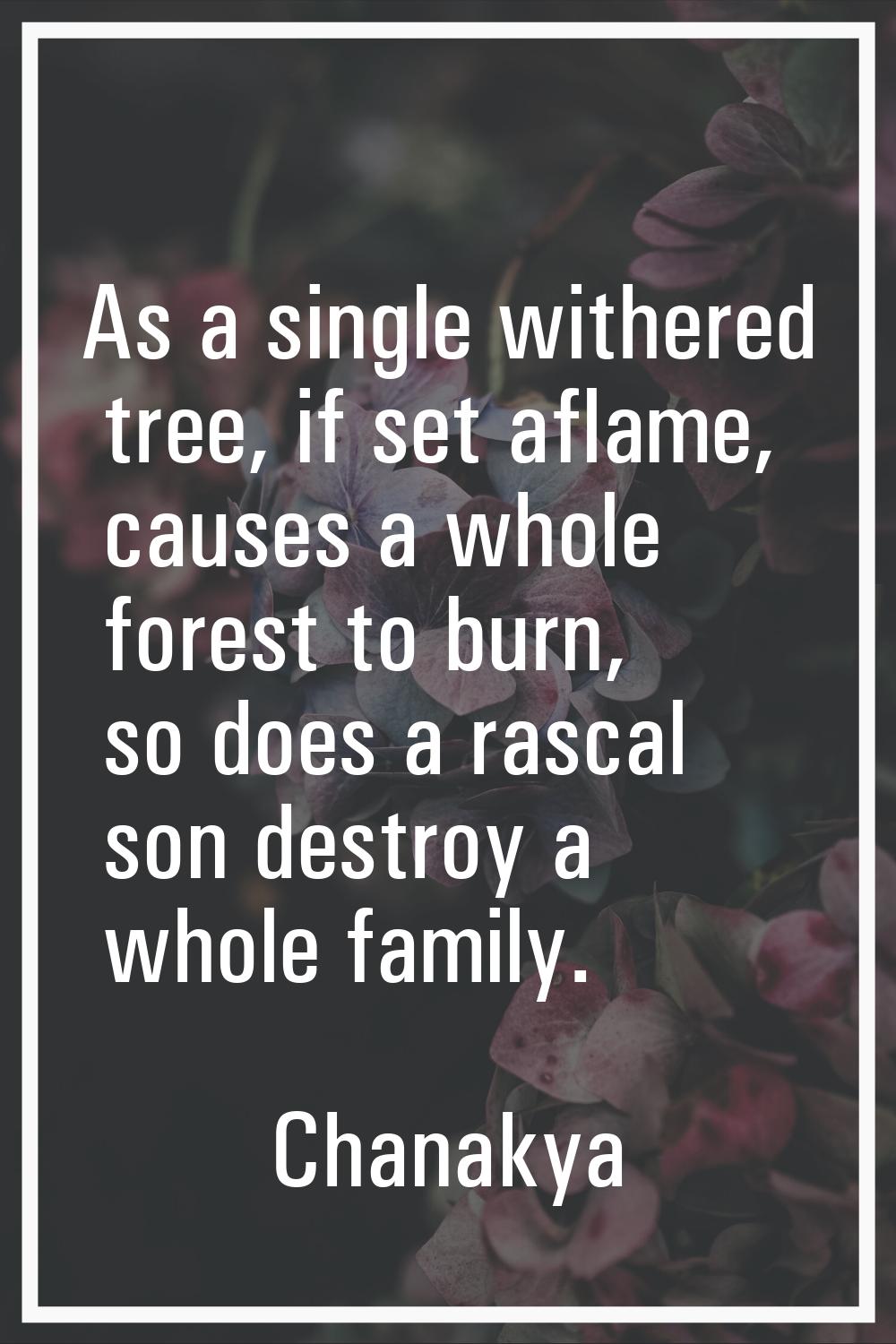 As a single withered tree, if set aflame, causes a whole forest to burn, so does a rascal son destr