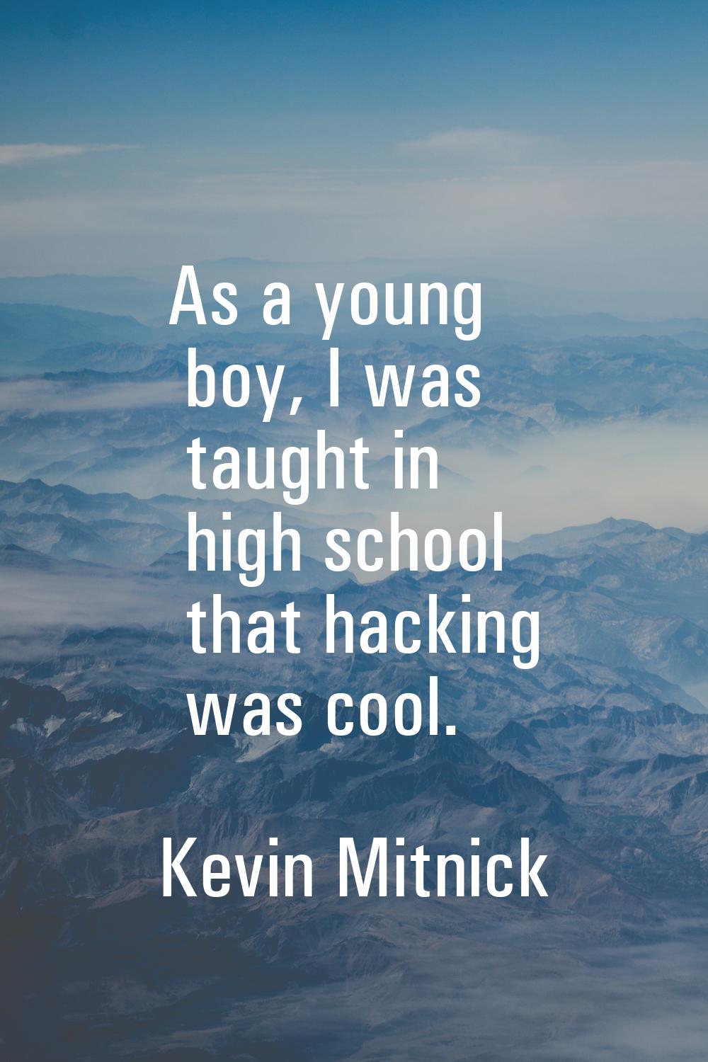 As a young boy, I was taught in high school that hacking was cool.
