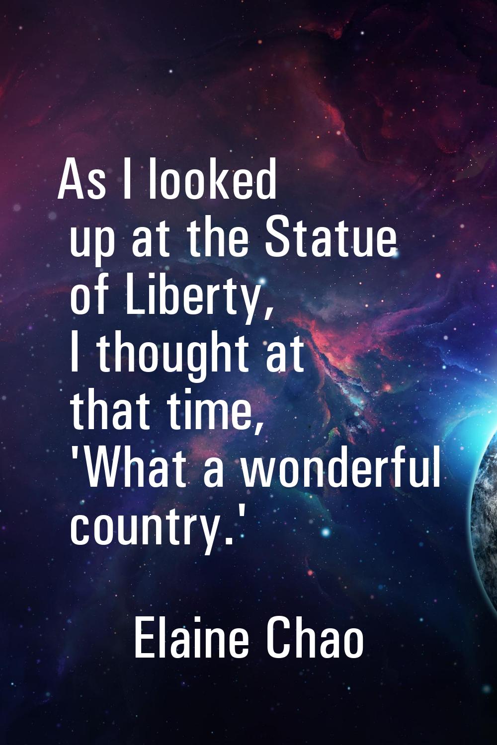 As I looked up at the Statue of Liberty, I thought at that time, 'What a wonderful country.'