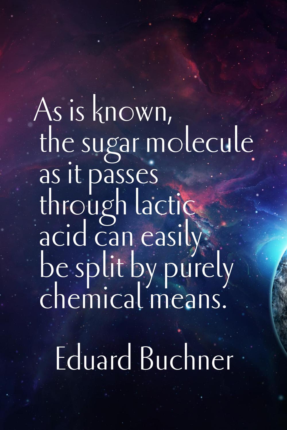 As is known, the sugar molecule as it passes through lactic acid can easily be split by purely chem