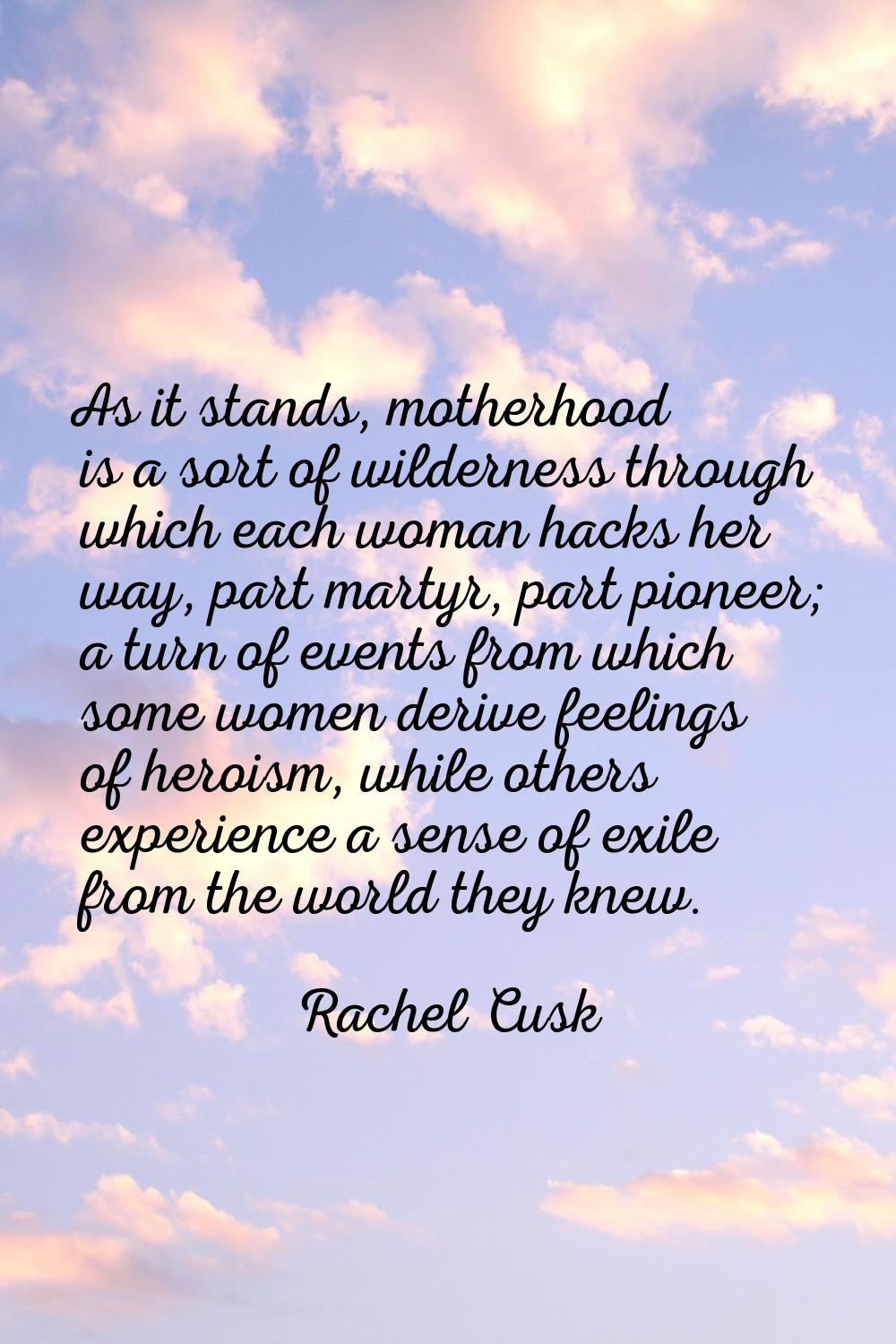 As it stands, motherhood is a sort of wilderness through which each woman hacks her way, part marty