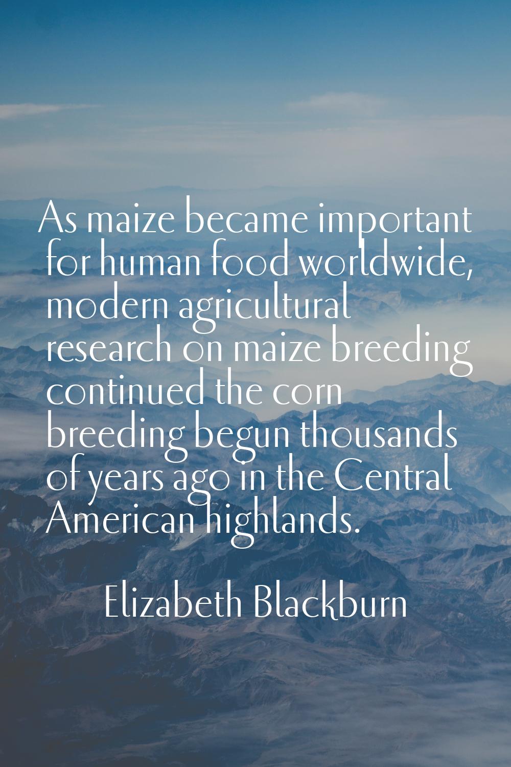 As maize became important for human food worldwide, modern agricultural research on maize breeding 