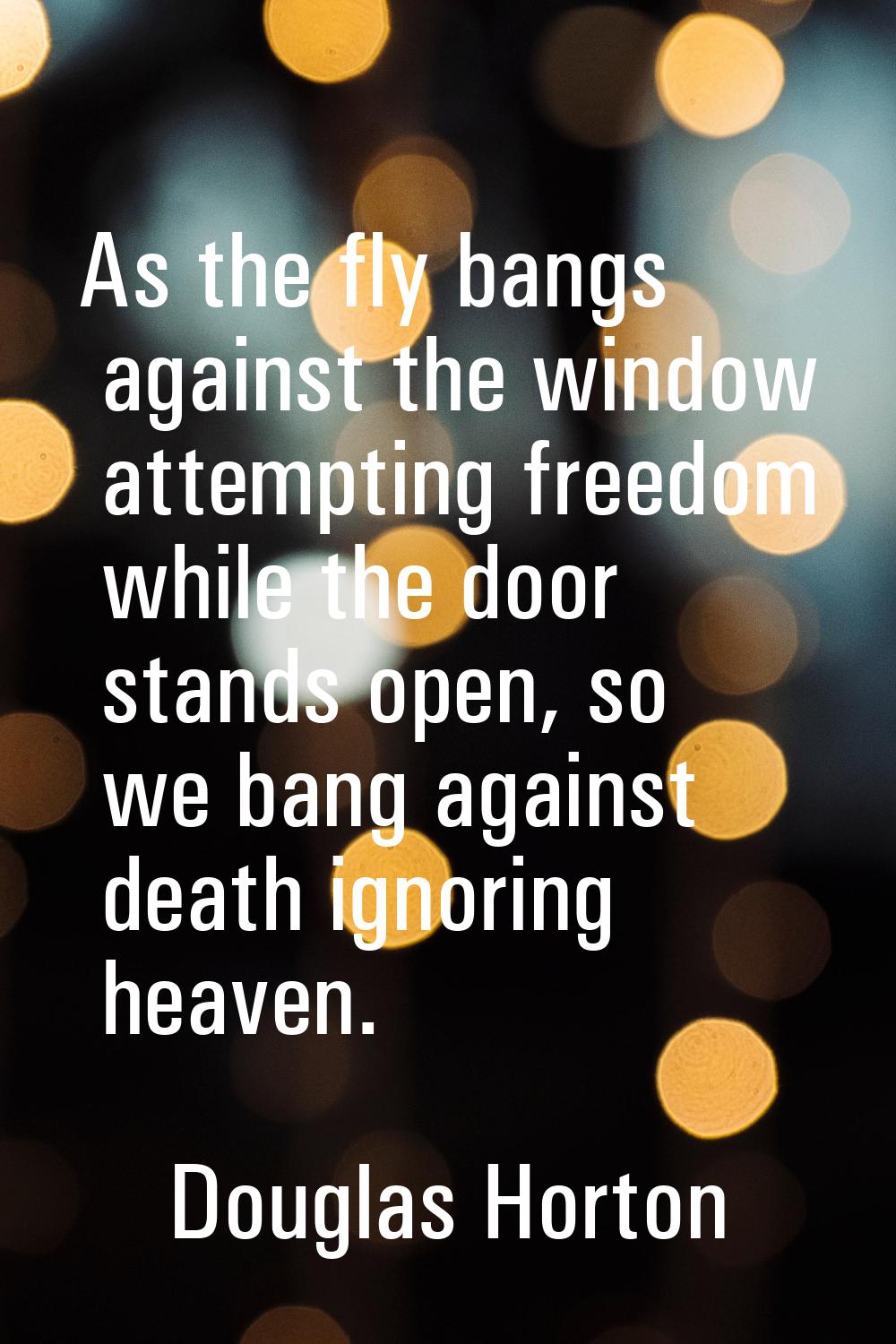 As the fly bangs against the window attempting freedom while the door stands open, so we bang again