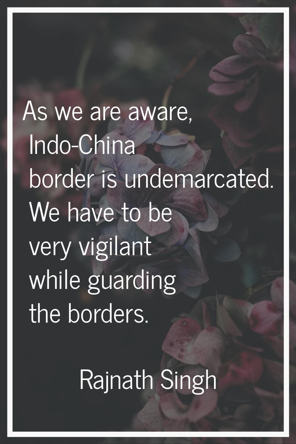 As we are aware, Indo-China border is undemarcated. We have to be very vigilant while guarding the 
