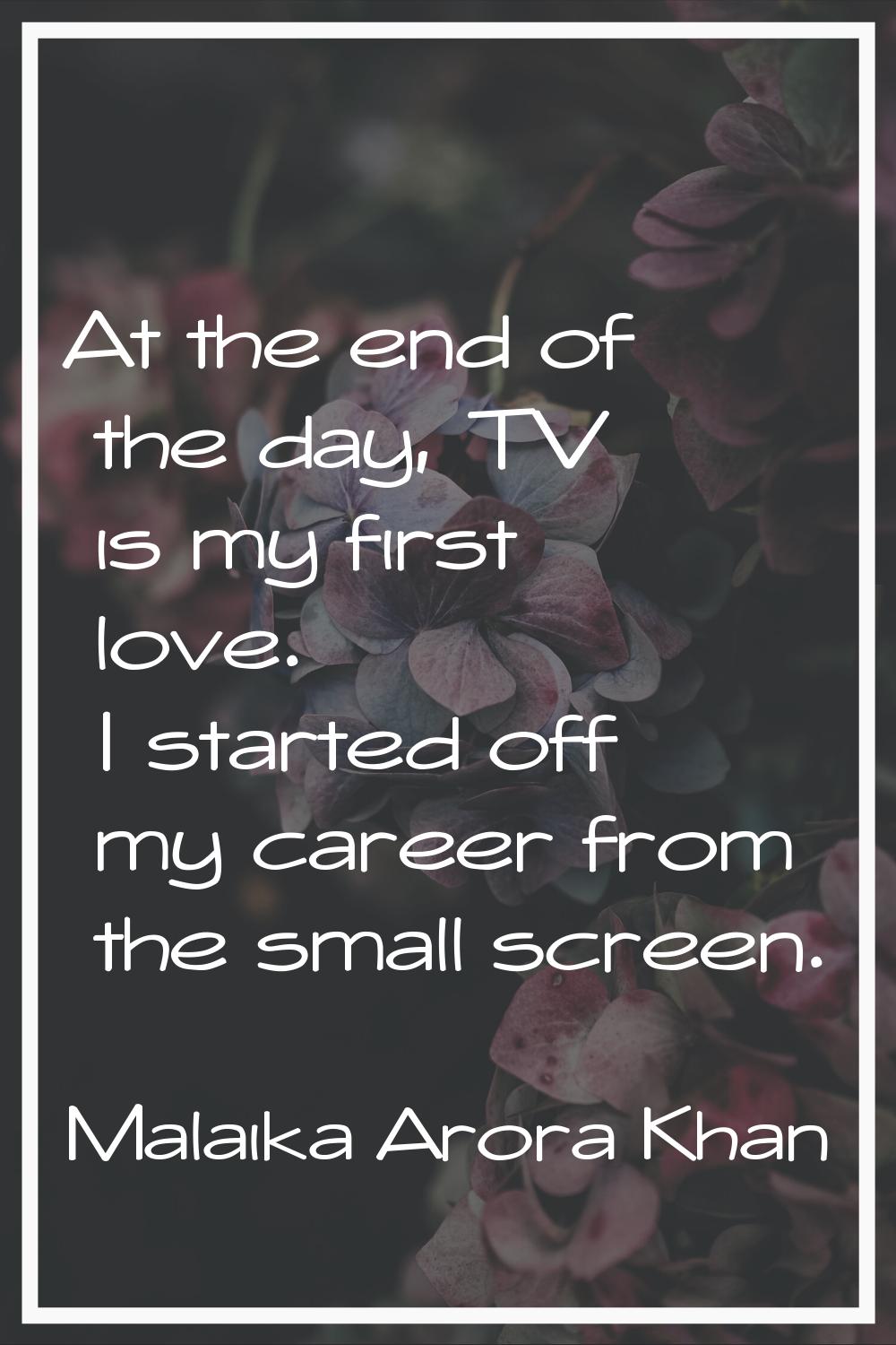 At the end of the day, TV is my first love. I started off my career from the small screen.