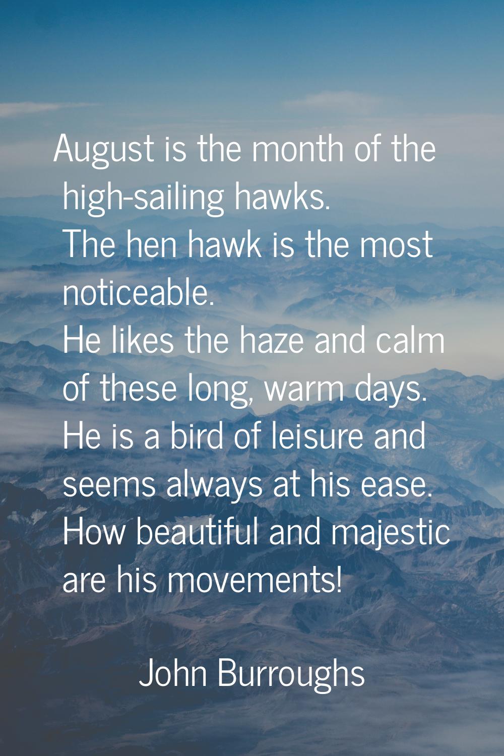 August is the month of the high-sailing hawks. The hen hawk is the most noticeable. He likes the ha