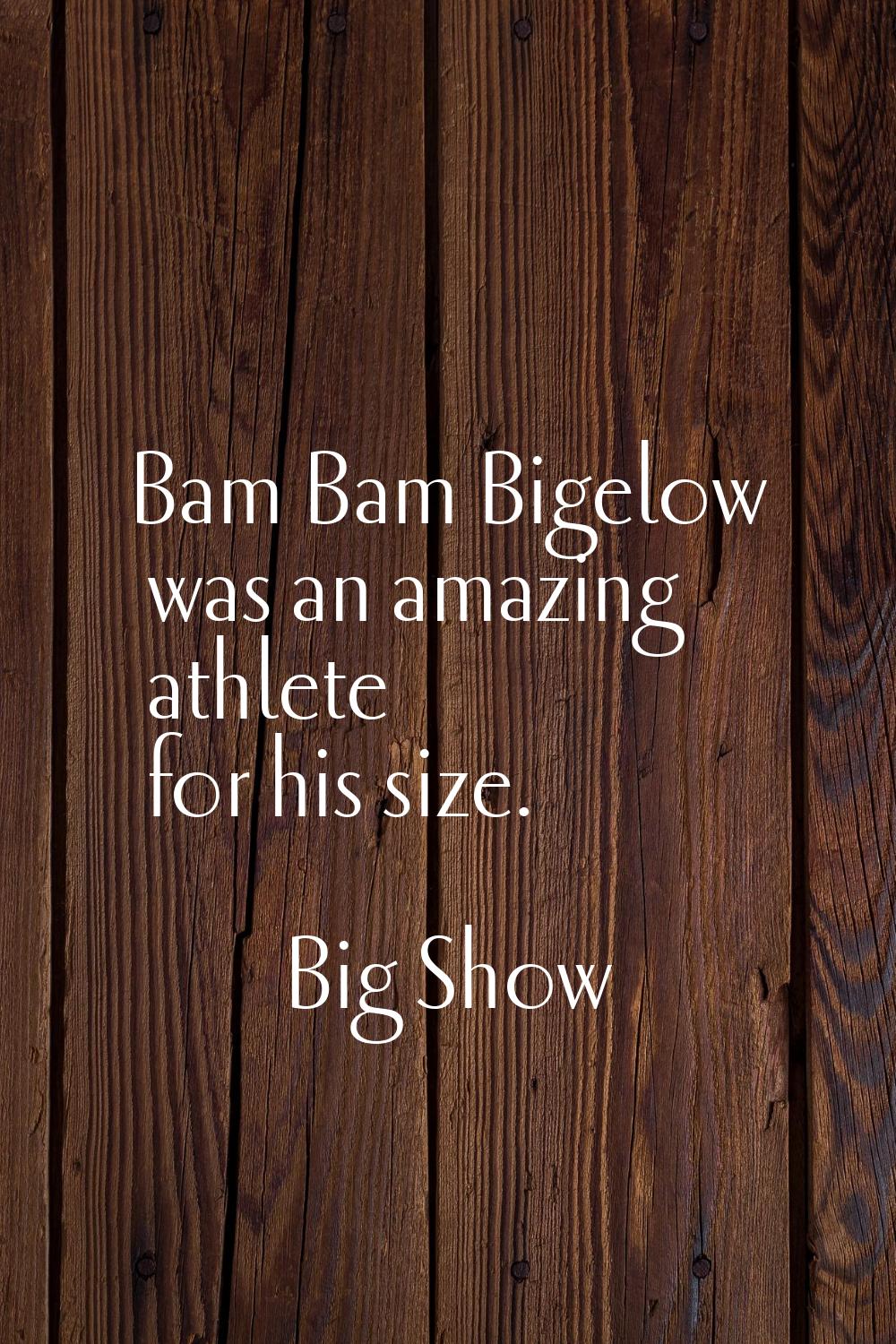 Bam Bam Bigelow was an amazing athlete for his size.