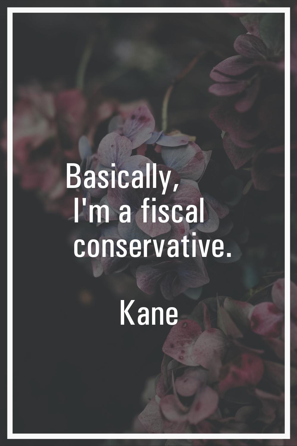 Basically, I'm a fiscal conservative.