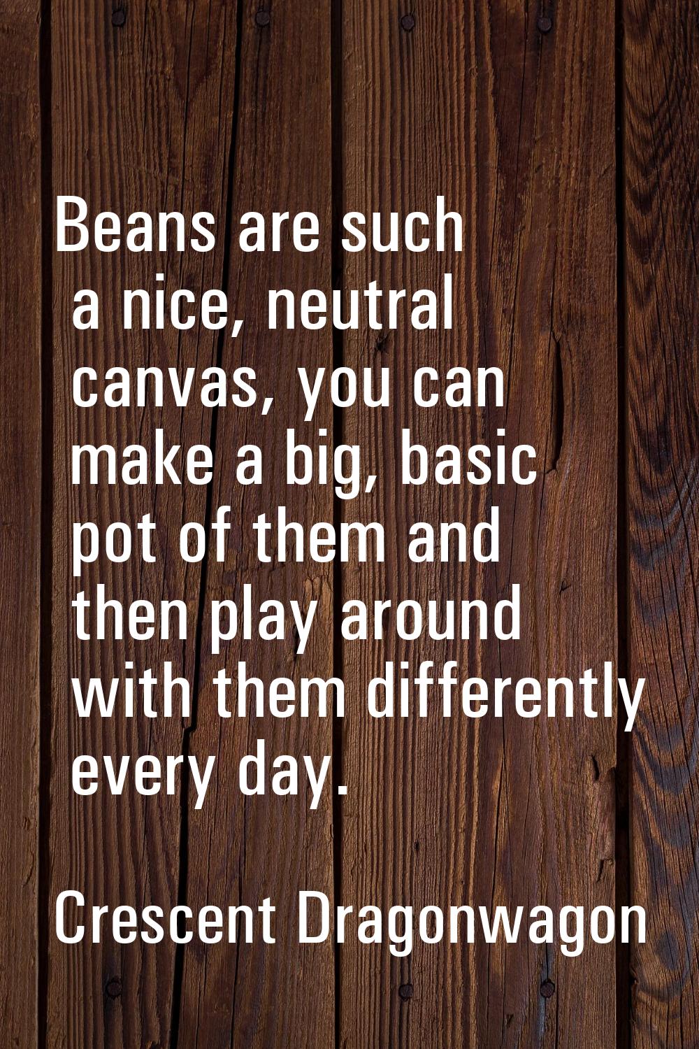 Beans are such a nice, neutral canvas, you can make a big, basic pot of them and then play around w