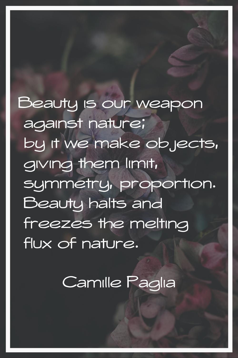 Beauty is our weapon against nature; by it we make objects, giving them limit, symmetry, proportion