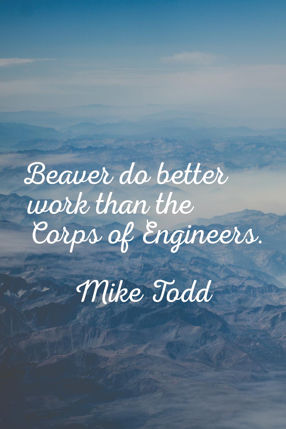 Beaver do better work than the Corps of Engineers.