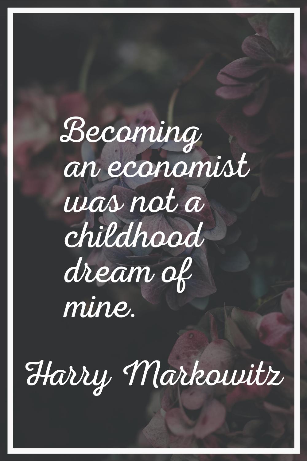 Becoming an economist was not a childhood dream of mine.