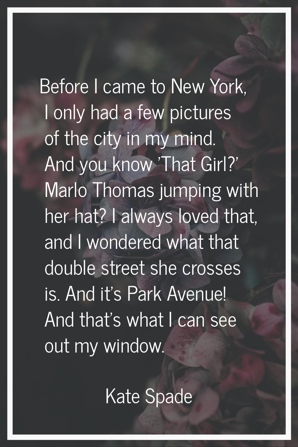 Before I came to New York, I only had a few pictures of the city in my mind. And you know 'That Gir
