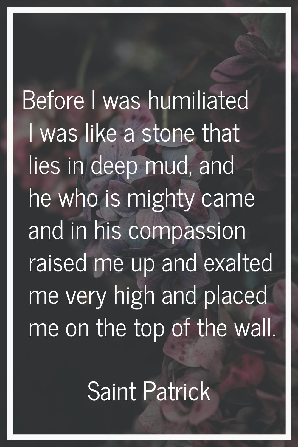 Before I was humiliated I was like a stone that lies in deep mud, and he who is mighty came and in 