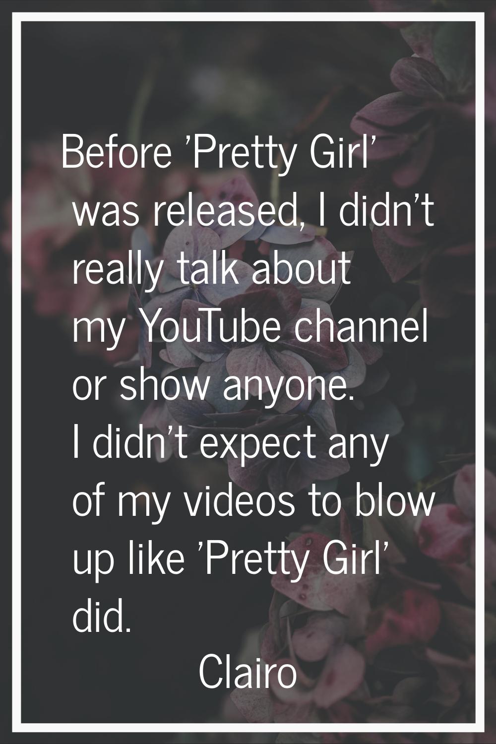Before 'Pretty Girl' was released, I didn't really talk about my YouTube channel or show anyone. I 
