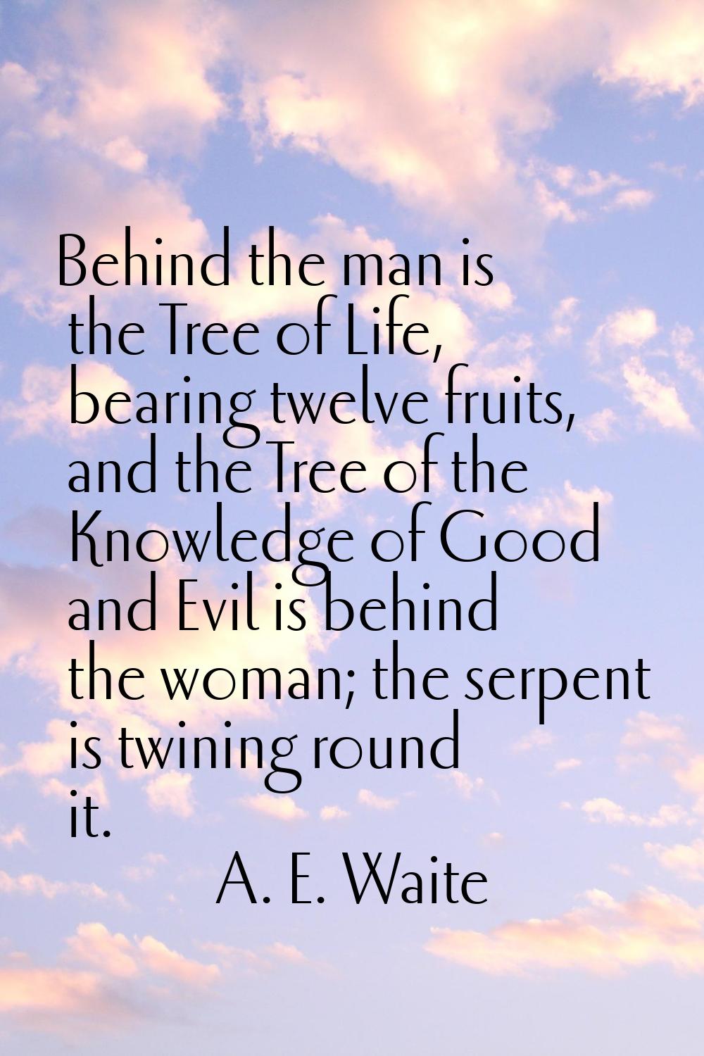 Behind the man is the Tree of Life, bearing twelve fruits, and the Tree of the Knowledge of Good an