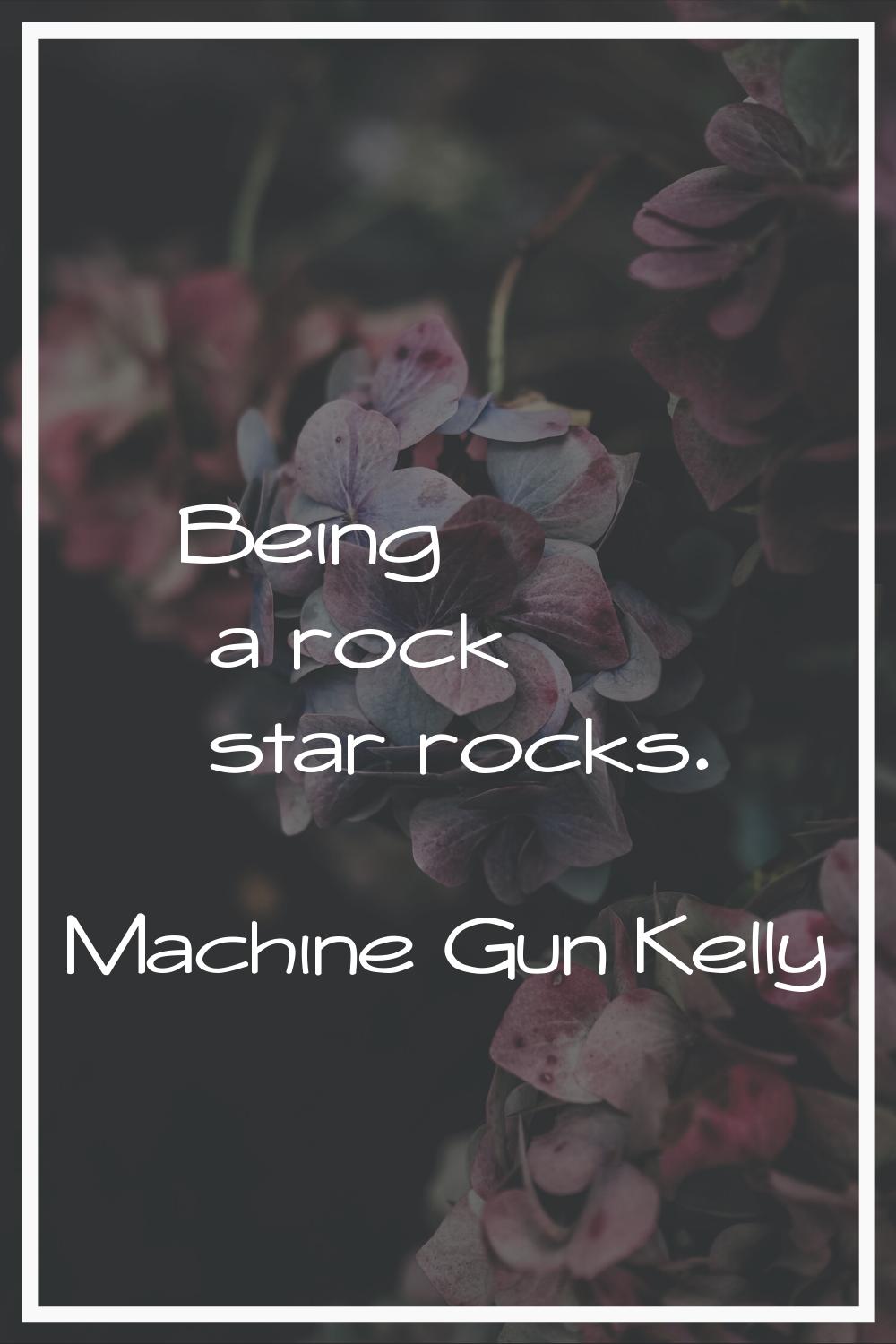 Being a rock star rocks.