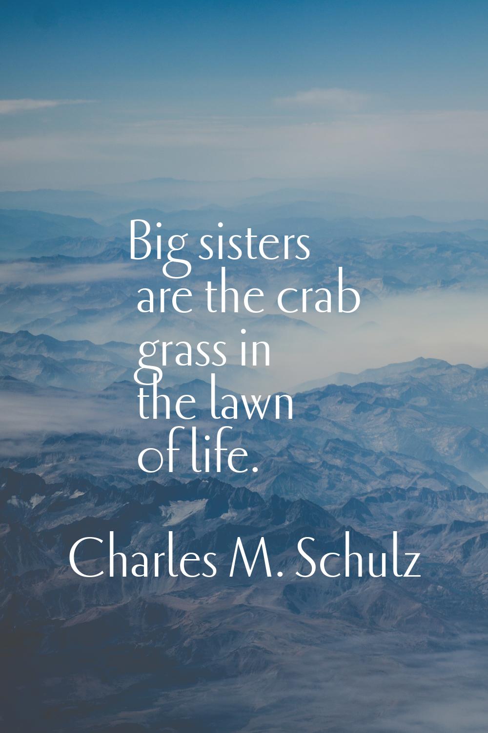 Big sisters are the crab grass in the lawn of life.