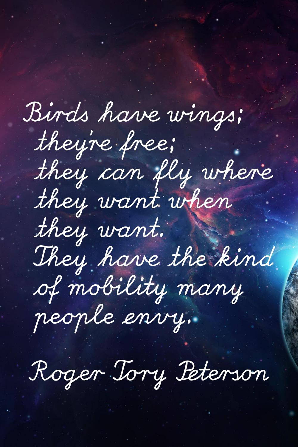 Birds have wings; they're free; they can fly where they want when they want. They have the kind of 