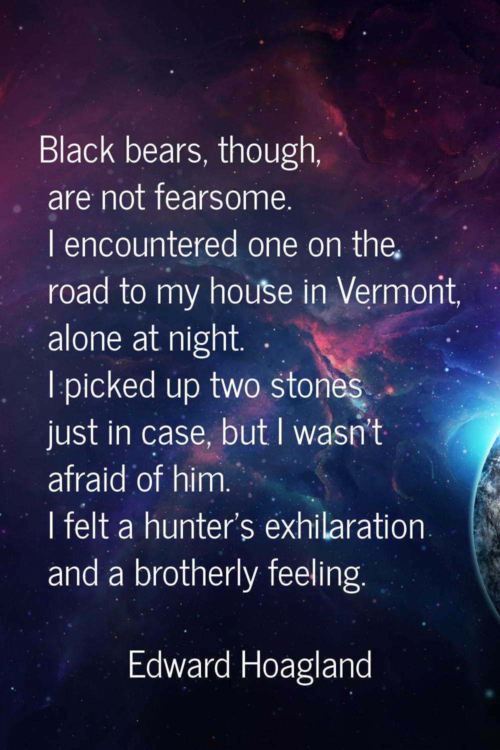 Black bears, though, are not fearsome. I encountered one on the road to my house in Vermont, alone 