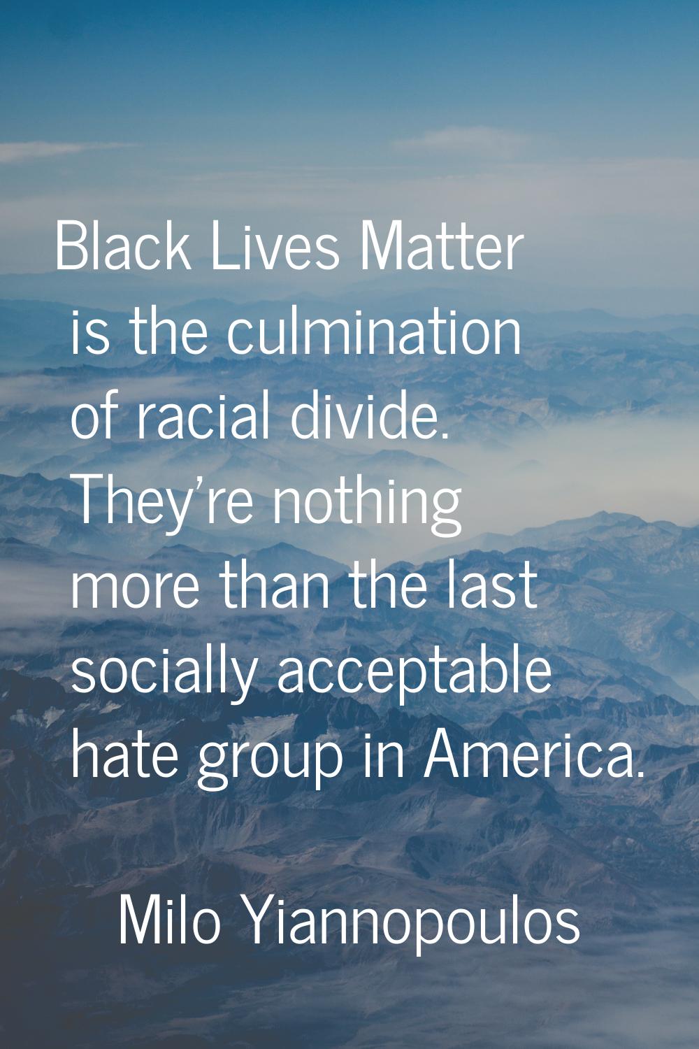 Black Lives Matter is the culmination of racial divide. They're nothing more than the last socially