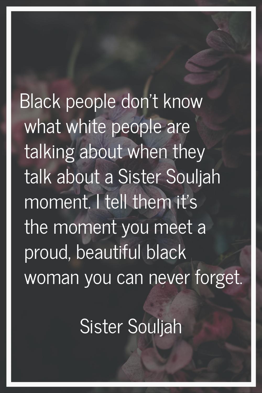 Black people don't know what white people are talking about when they talk about a Sister Souljah m
