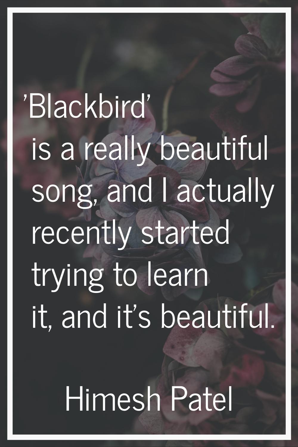 'Blackbird' is a really beautiful song, and I actually recently started trying to learn it, and it'