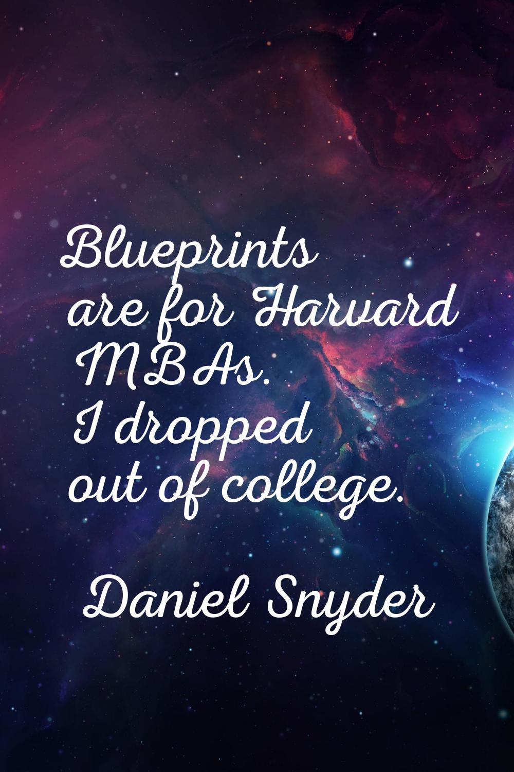 Blueprints are for Harvard MBAs. I dropped out of college.