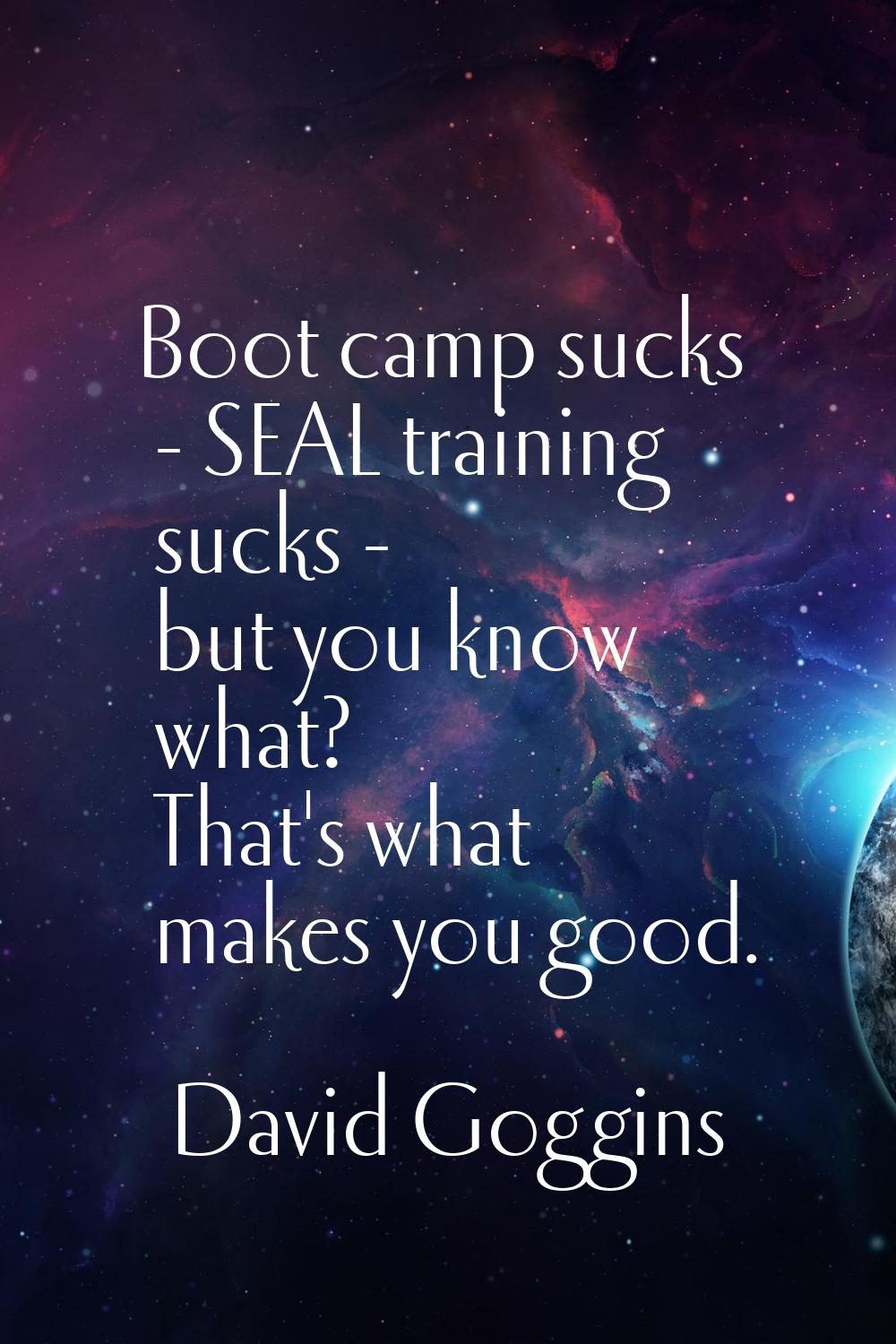 Boot camp sucks - SEAL training sucks - but you know what? That's what makes you good.