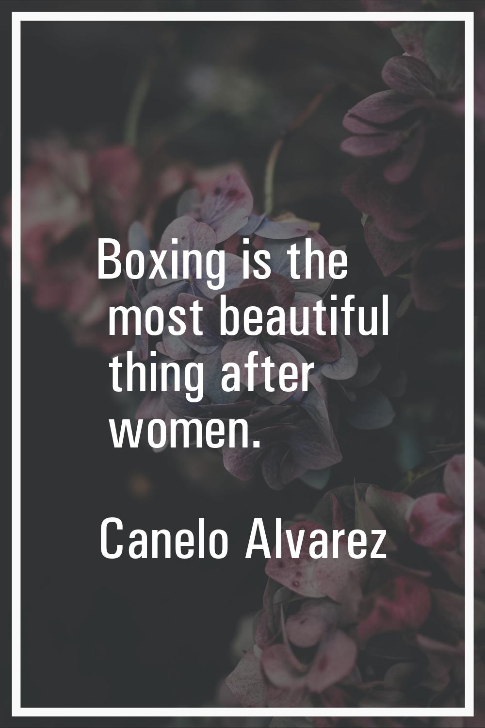 Boxing is the most beautiful thing after women.