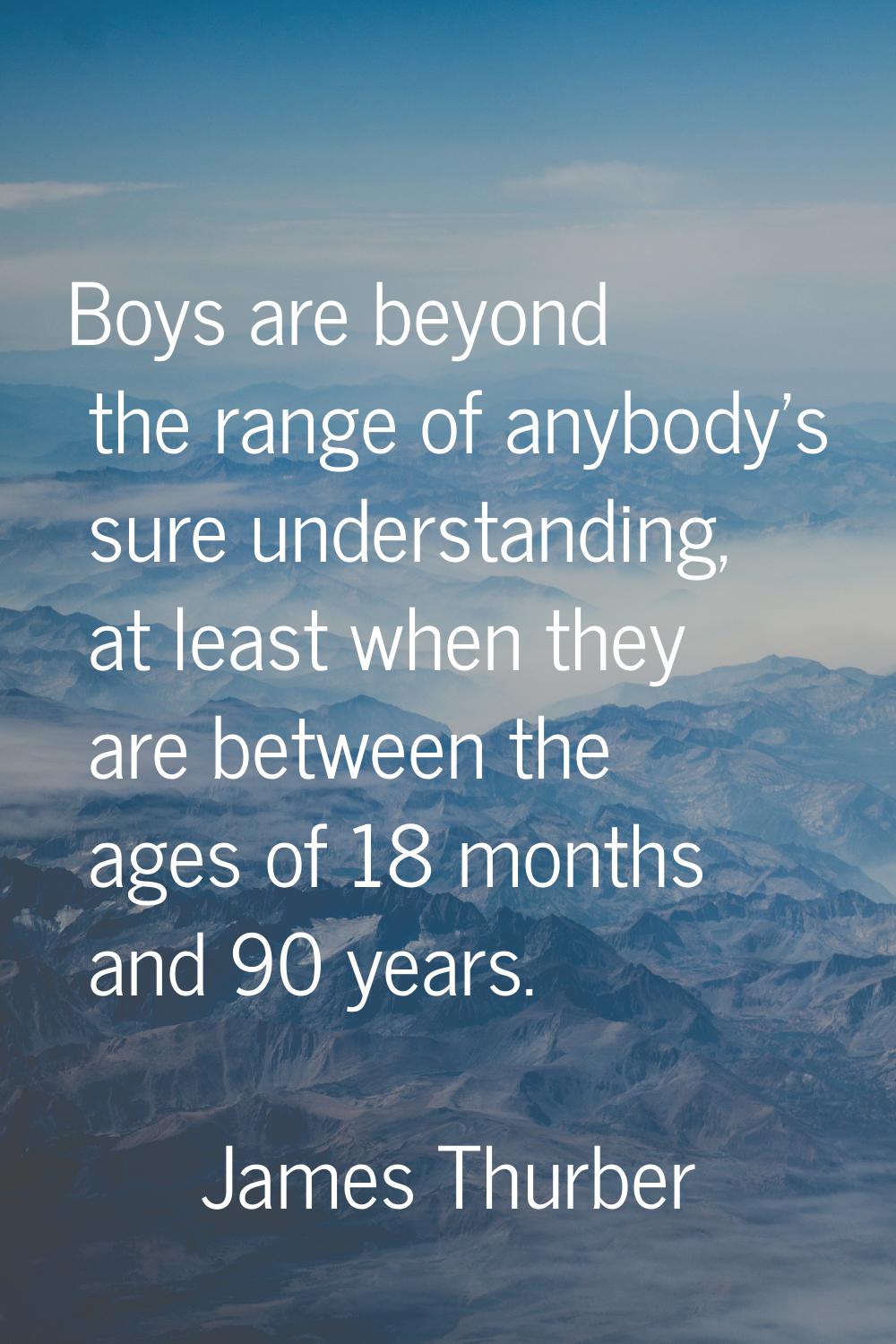 Boys are beyond the range of anybody's sure understanding, at least when they are between the ages 