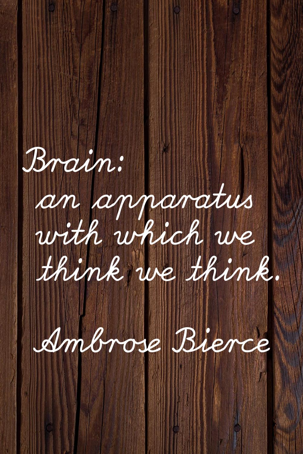 Brain: an apparatus with which we think we think.