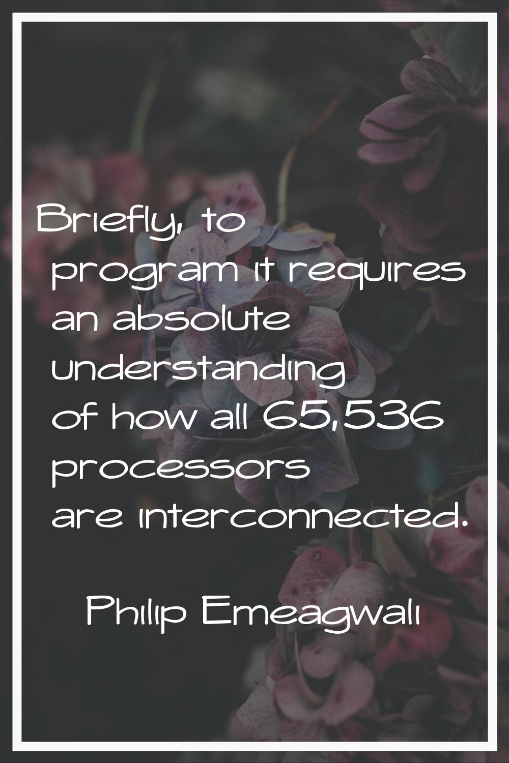 Briefly, to program it requires an absolute understanding of how all 65,536 processors are intercon