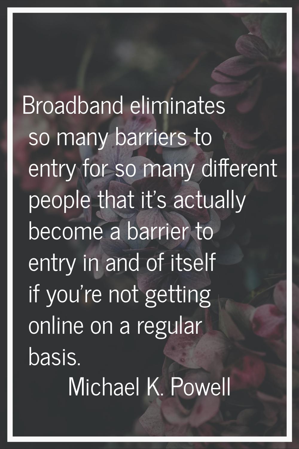 Broadband eliminates so many barriers to entry for so many different people that it's actually beco