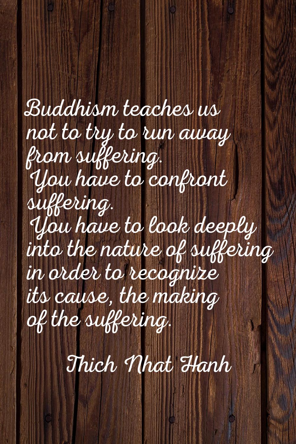 Buddhism teaches us not to try to run away from suffering. You have to confront suffering. You have