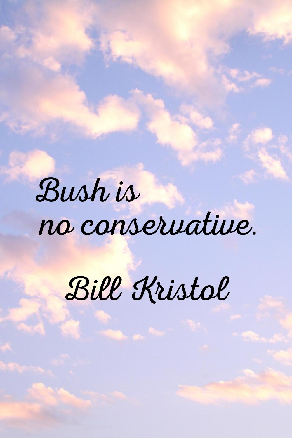 Bush is no conservative.