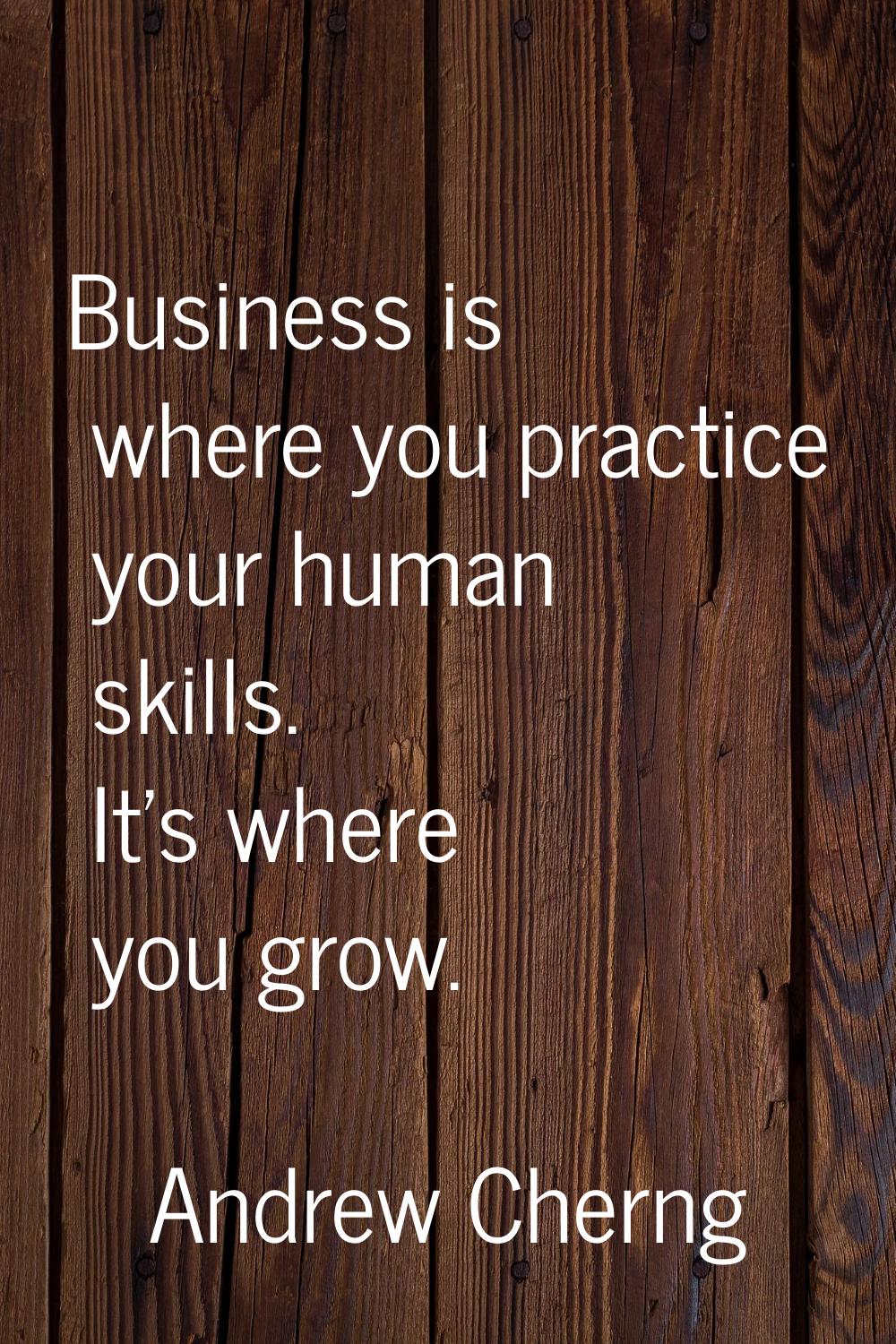Business is where you practice your human skills. It's where you grow.