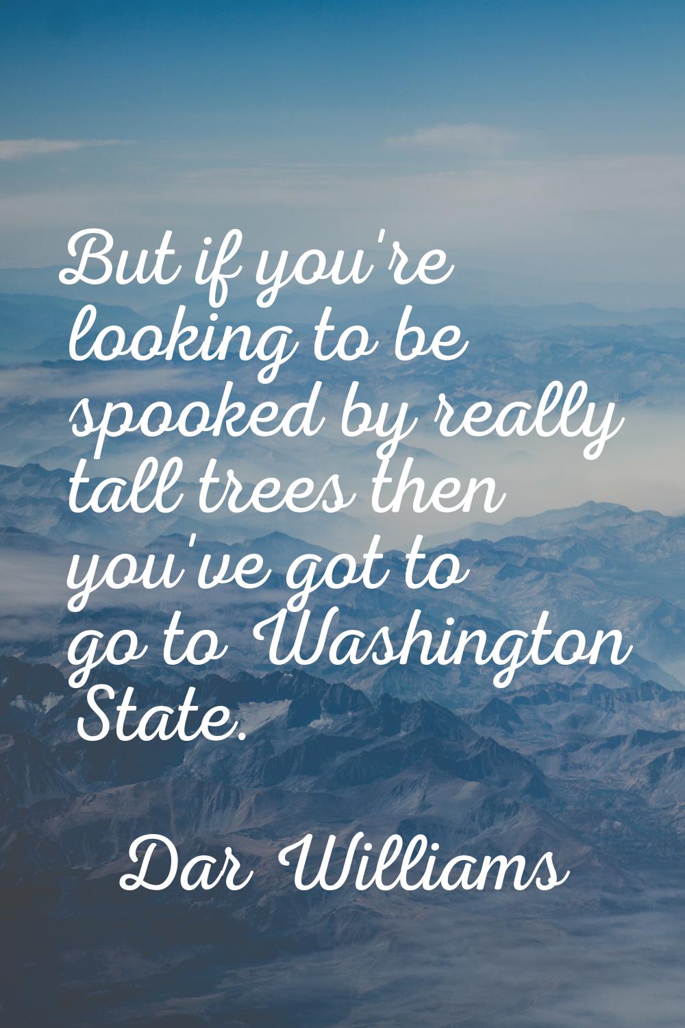 But if you're looking to be spooked by really tall trees then you've got to go to Washington State.