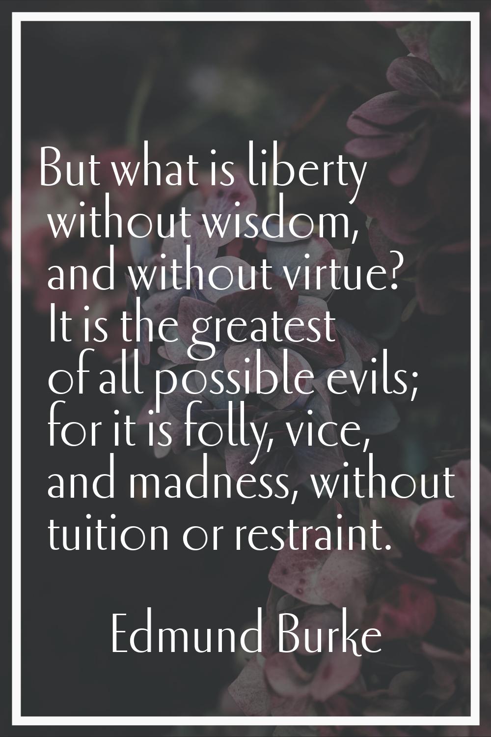 But what is liberty without wisdom, and without virtue? It is the greatest of all possible evils; f